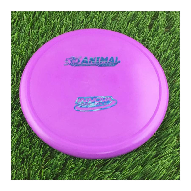 Innova XT Animal - 161g - Solid Purple