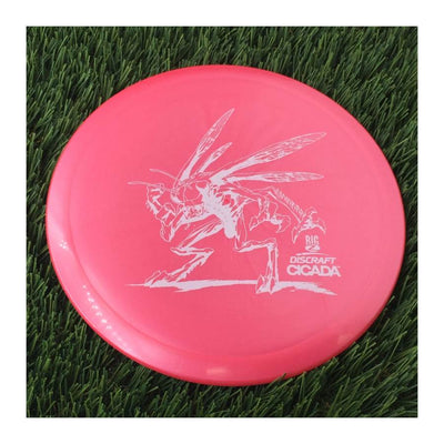 Discraft Big Z Collection Cicada - 172g Pink