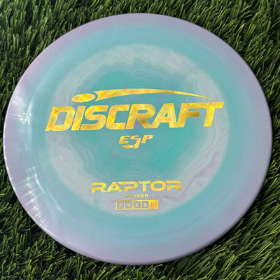 Discraft ESP Raptor with 2023 New Font Stamp - 174g Blurple