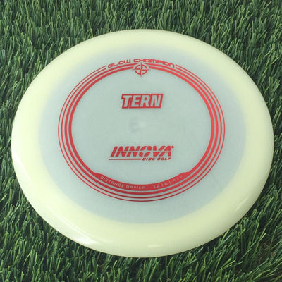 Innova Champion Glow Tern with Burst Logo Stock Stamp - 157g - Translucent Glow