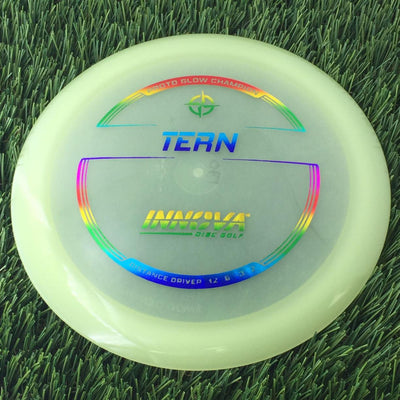 Innova Proto Glow Champion Tern with Burst Logo Stock Stamp - 170g - Translucent Glow