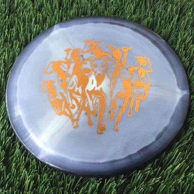 Innova Halo Star Whippet-X with Dog Pack Stamp - 172g Black