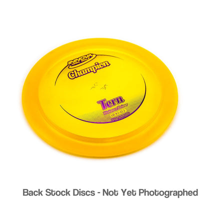 Innova Champion Tern